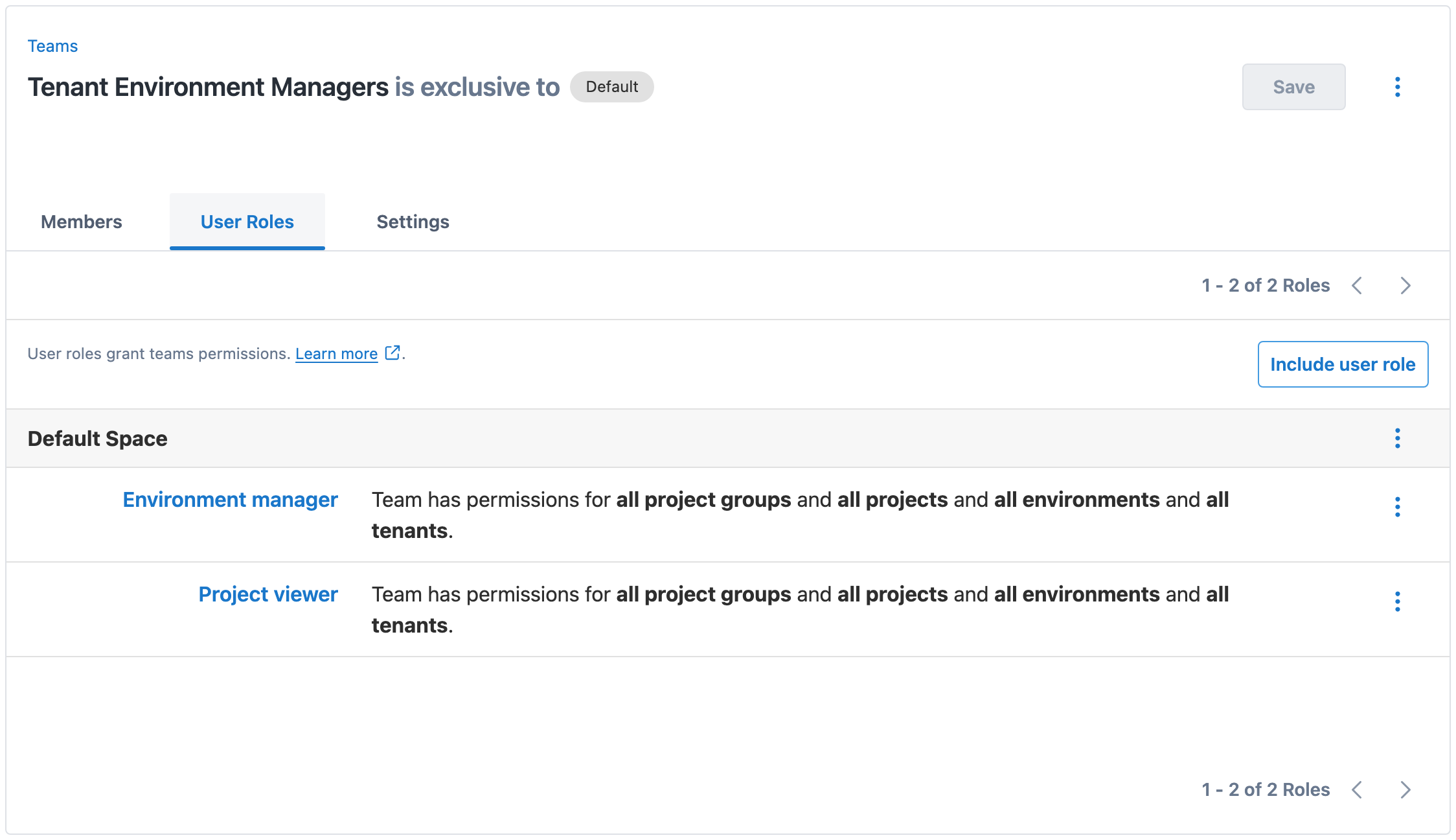 A team with tenant and environment management roles